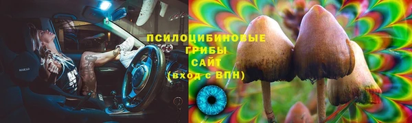 гидра Алзамай
