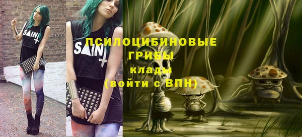 гидра Алзамай